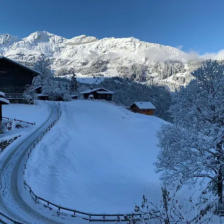 Chalet Schiltwald Innerwengen * Βένγκεν