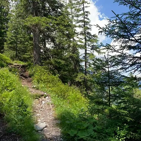 Chalet Schiltwald Innerwengen Διαμέρισμα *
