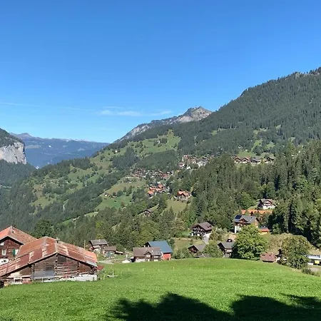 Chalet Schiltwald Innerwengen Διαμέρισμα Βένγκεν