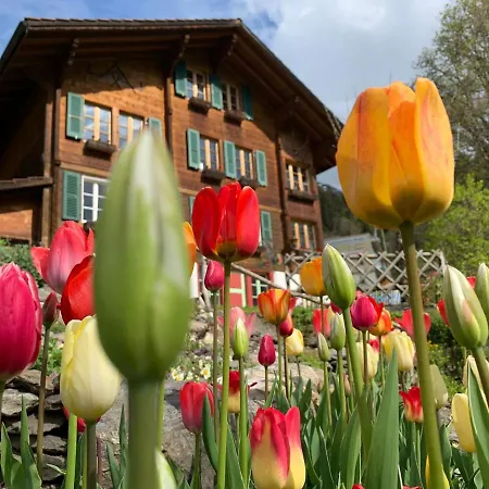 Διαμέρισμα Chalet Schiltwald Innerwengen Βένγκεν