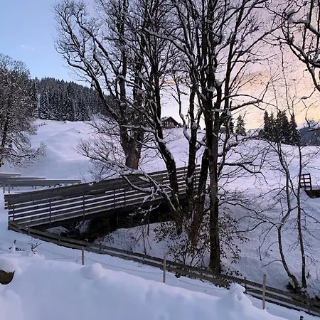 Chalet Schiltwald Innerwengen Appartement Wengen