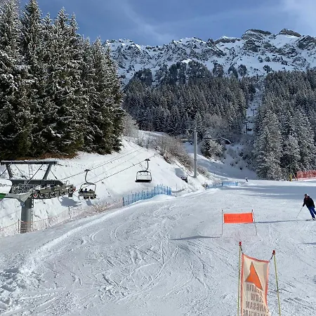 Chalet Schiltwald Innerwengen Wengen