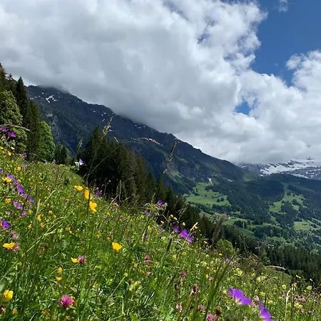 Chalet Schiltwald Innerwengen * Wengen