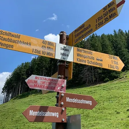 Chalet Schiltwald Innerwengen