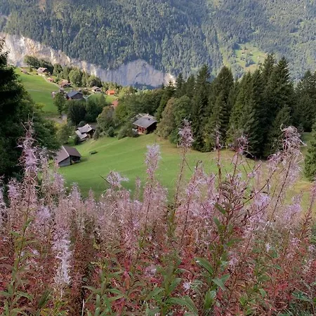 Chalet Schiltwald Innerwengen Appartement Wengen