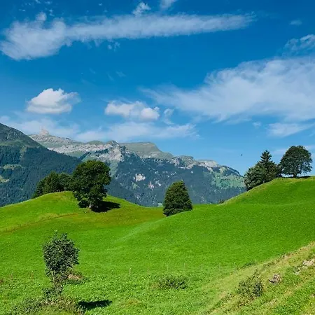 Chalet Schiltwald Innerwengen