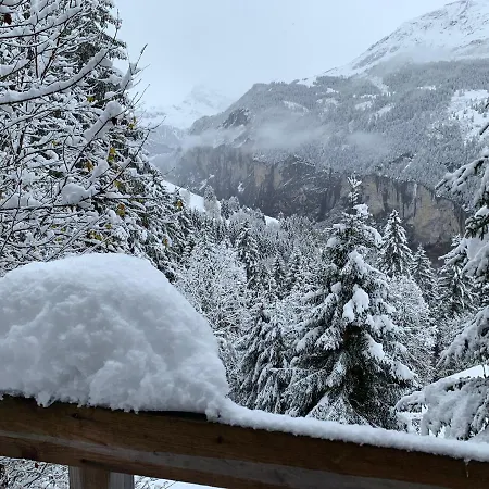 Apartment Chalet Schiltwald Innerwengen