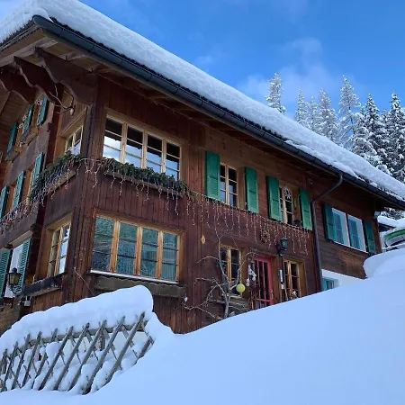 Chalet Schiltwald Innerwengen Apartment Wengen