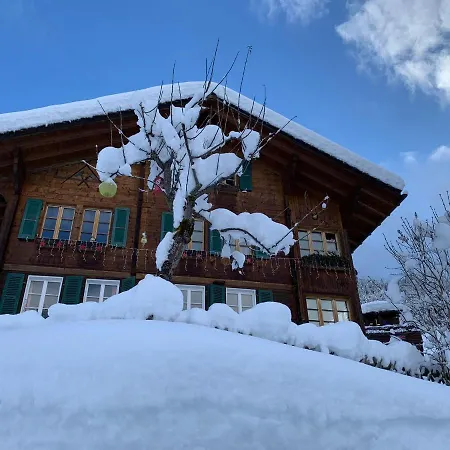 Chalet Schiltwald Innerwengen Wengen