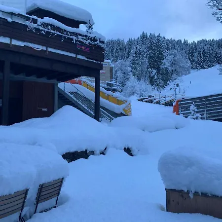 Chalet Schiltwald Innerwengen Appartement Wengen